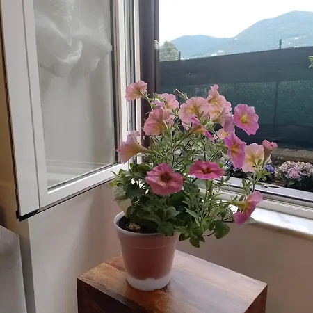 Appartamento Casa Veve' *