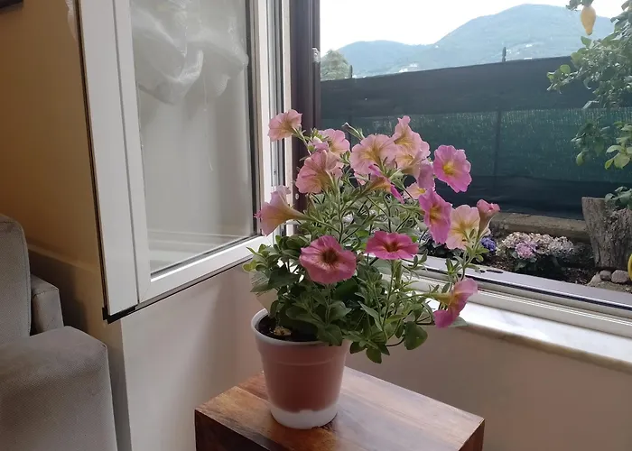 Appartamento Casa Veve' *